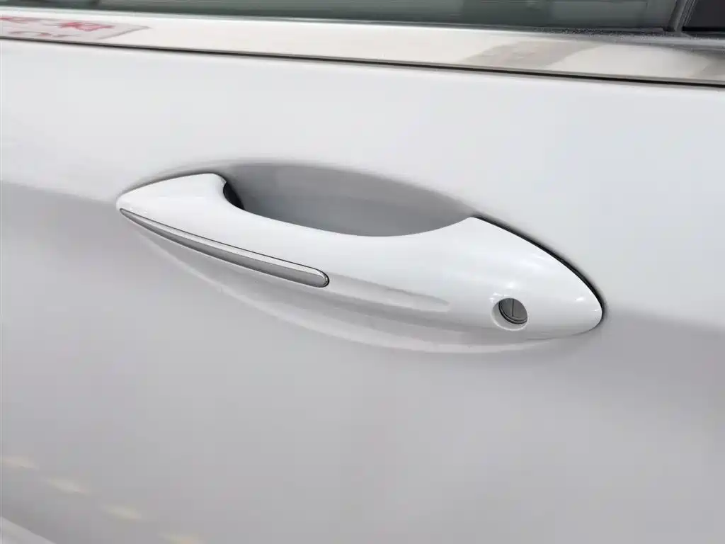 GEELY AUTOMOBILE BORUI NEW ENERGY