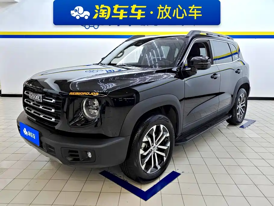 Haval Big Dog 2022 1.5T DCT FWD Border Collie Edition