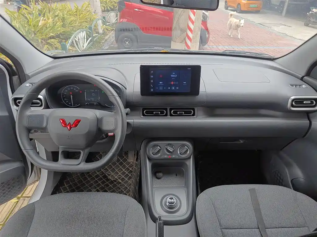 Фото 6 - Wuling Motors Wuling Hongguang New Energy
