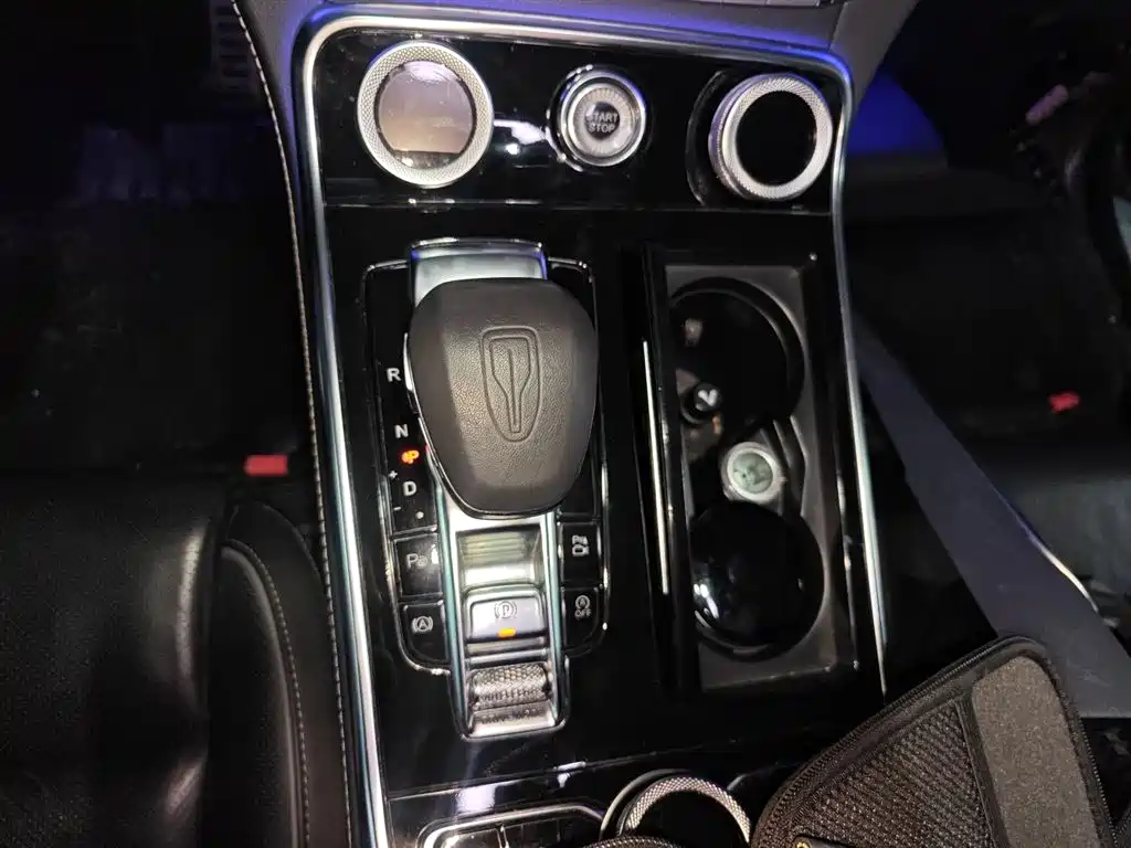 Hongqi H9 2020 2.0T Smart Connection Qi Chang Edition фото 10