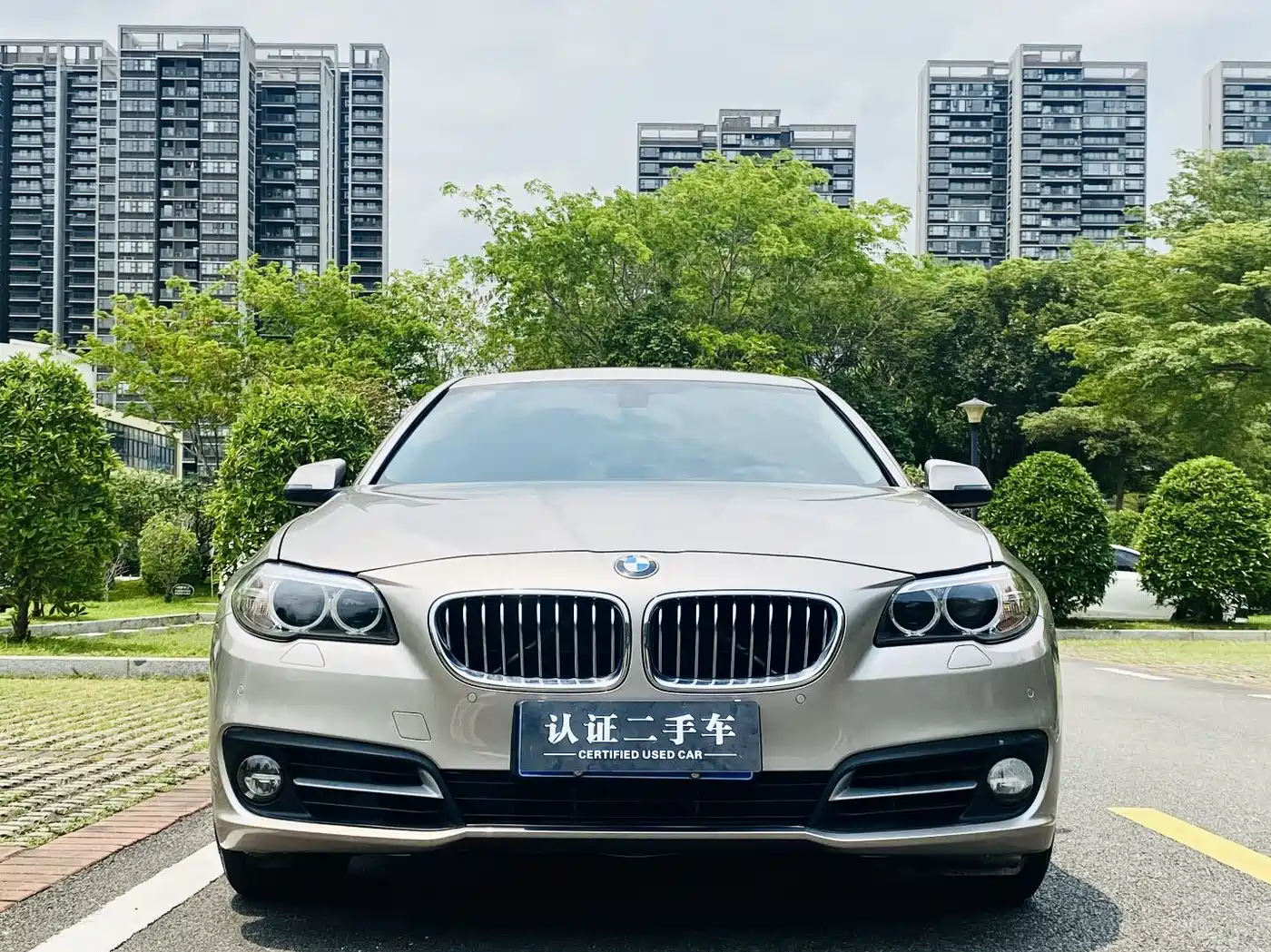 BMW 5 Series 2014 525Li Leading фото 2
