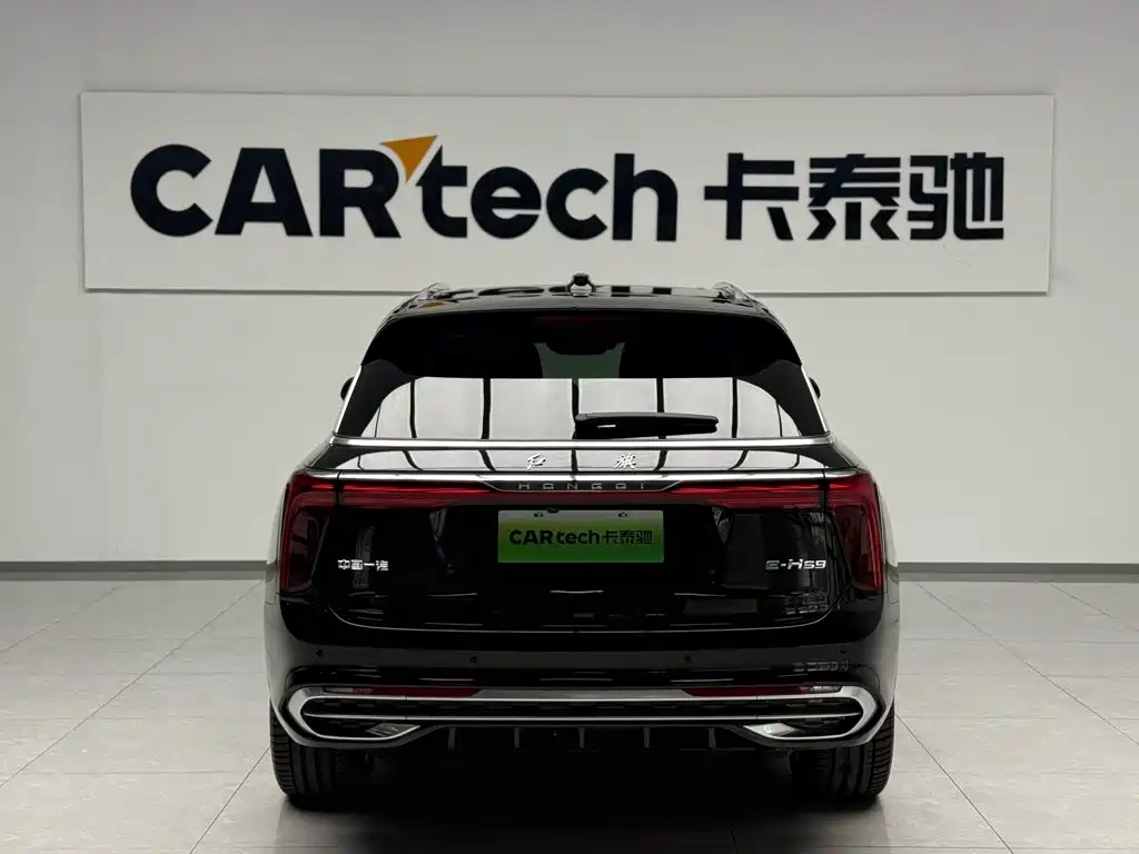 Photo 4 - Hongqi E-HS9