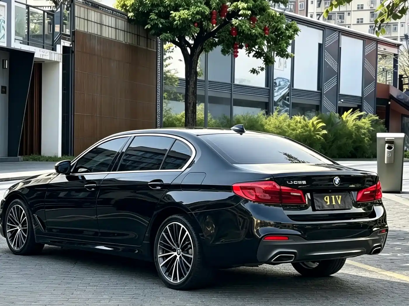 BMW 5 Series 2019 530Li Leading M Sport Package фото 9