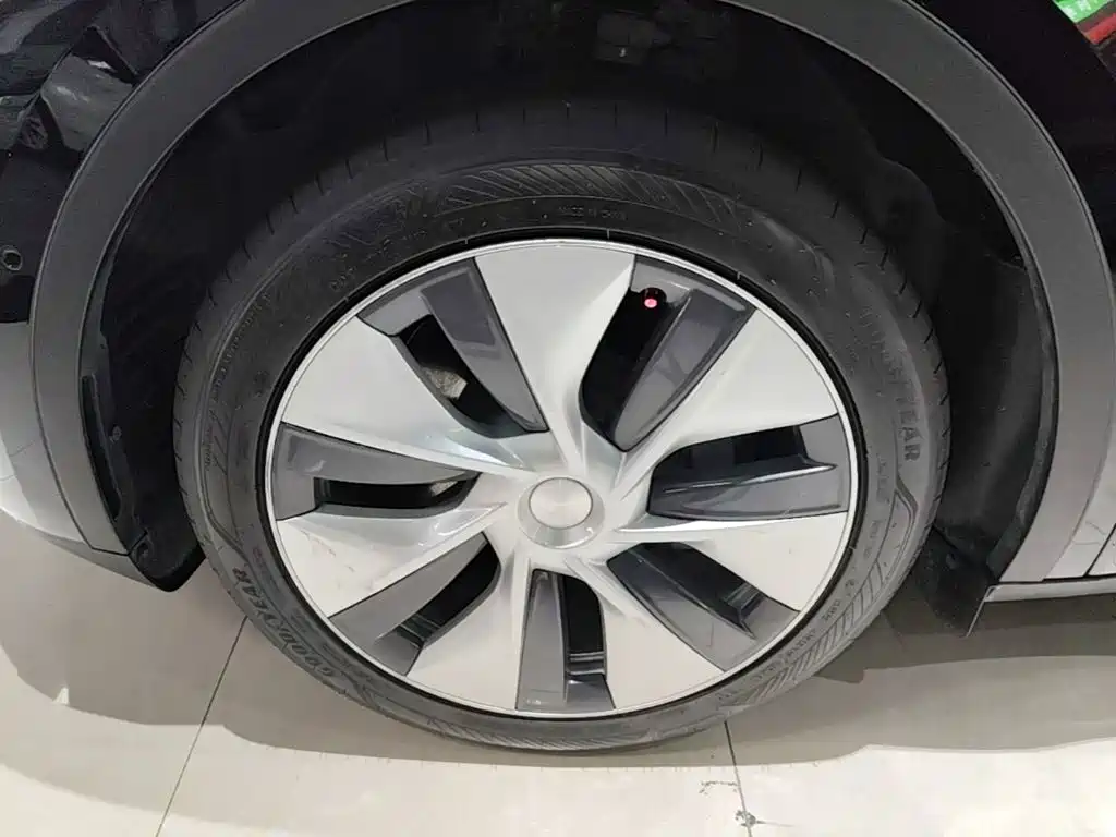 Фото 23 - Tesla Model Y