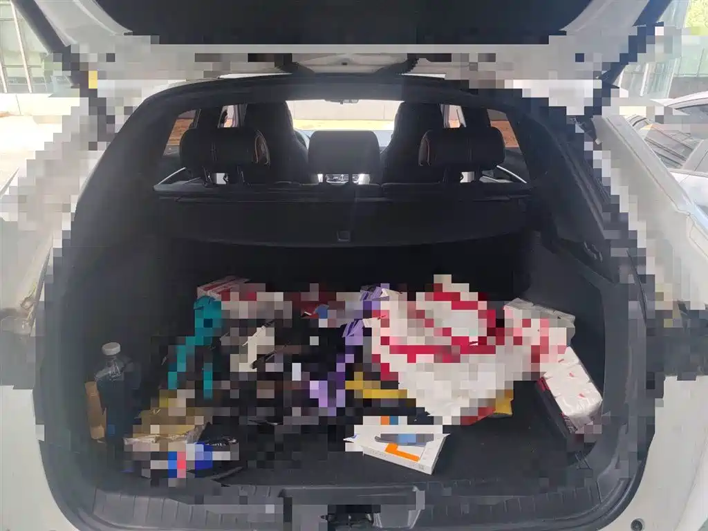 BYD Song PLUS PHEV 2021 DM-i 110KM Flagship фото 16