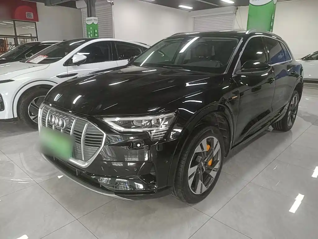 Audi e-tron (Import) 2020 2019 55 quattro Technology