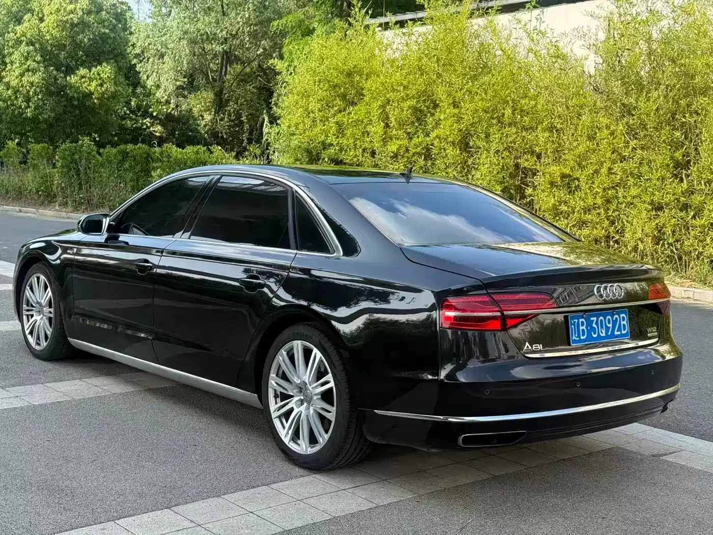 Audi A8 2012 A8L 6.3 FSI W12 quattro фото 6