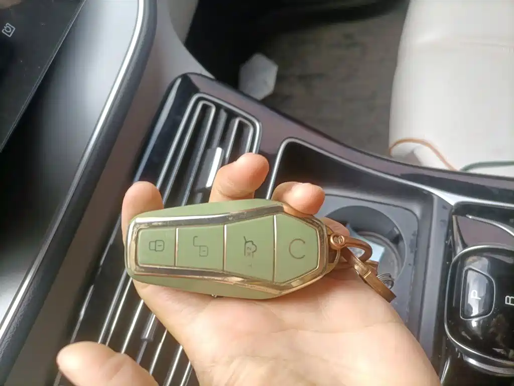BYD Qin PLUS 2024 Glory Edition DM-i 120KM Leading фото 9