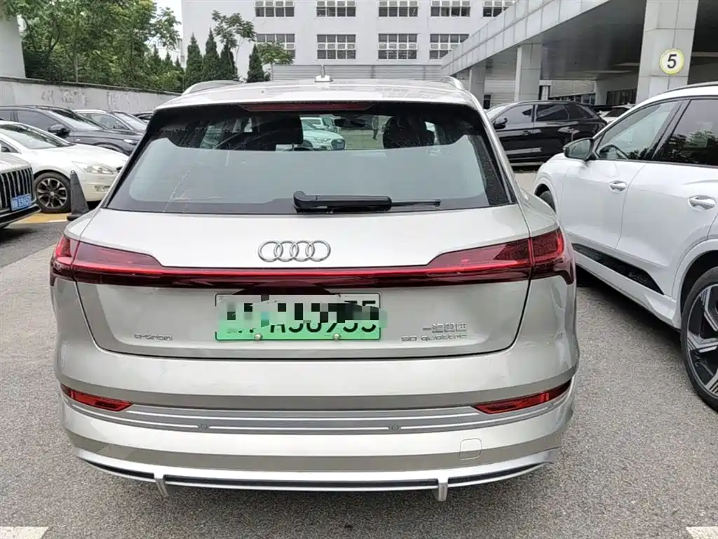 Audi e-tron 2021 50 quattro Exclusive Selection фото 10