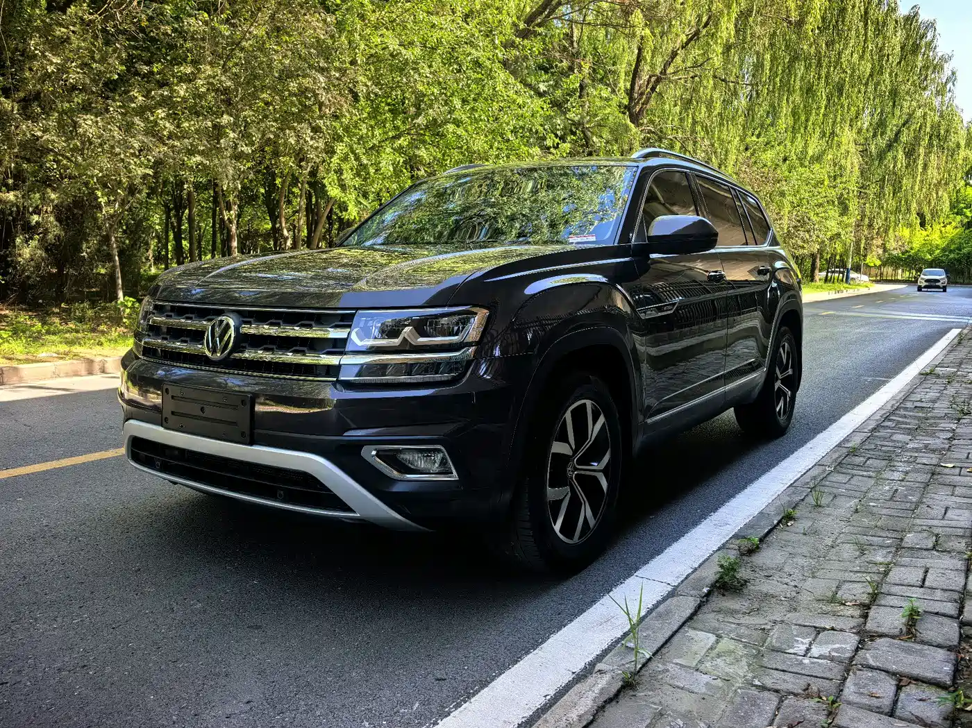 Volkswagen Teramont 2019 380TSI 4WD Luxury China V