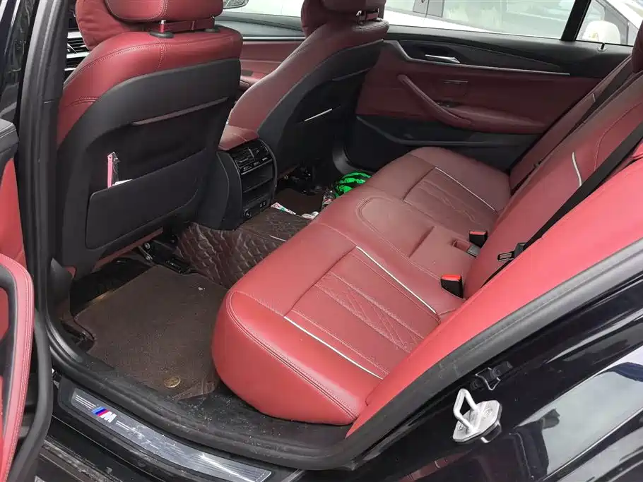BMW 5 Series 2021 530Li Leading M Sport Package фото 11