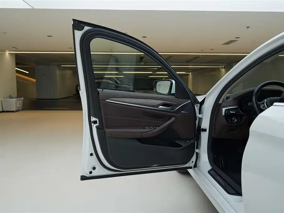 BMW 5 Series New Energy 2020 530Le Range Upgrade Luxury Package фото 16