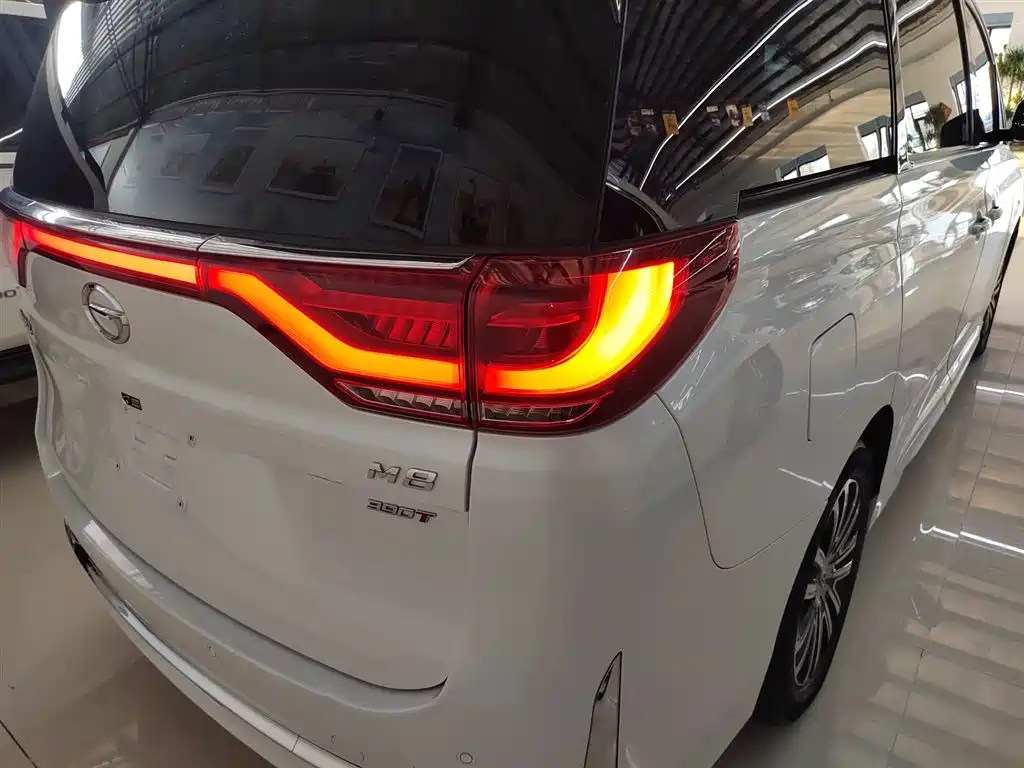 GAC Trumpchi Trumpchi M8 2023 Leading Series 390T Prestige Edition фото 8