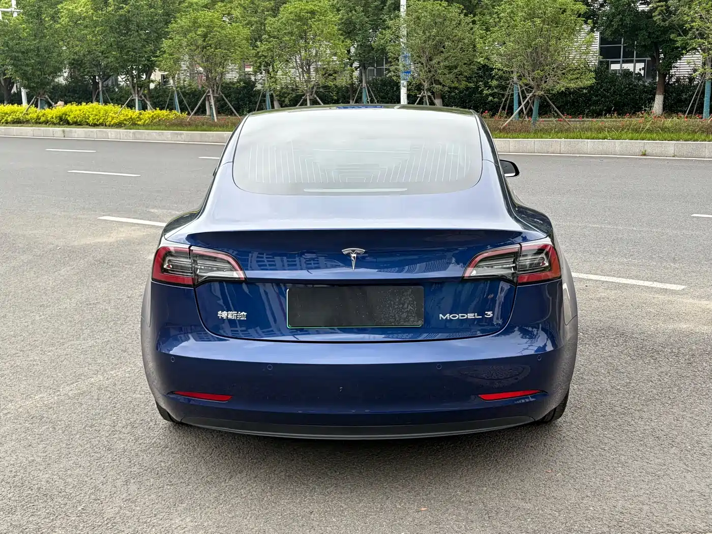 Tesla Model 3 2020 Standard Range Rear-Wheel Drive Upgrade фото 9