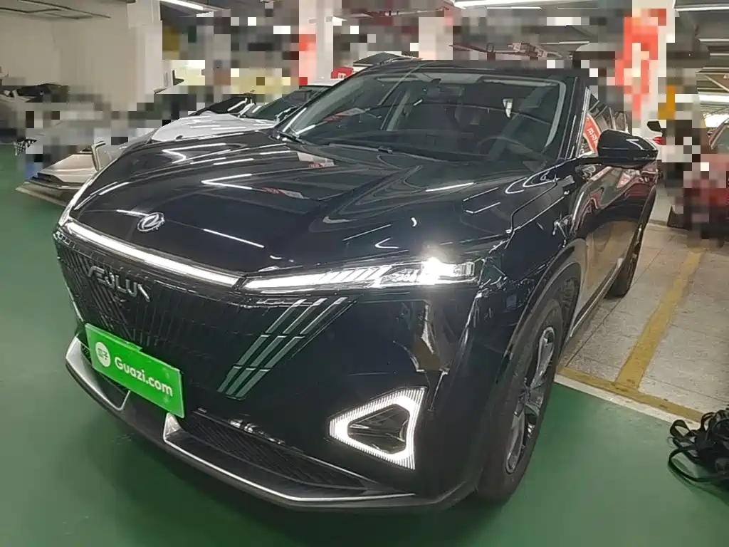 2025 Dongfeng Aeolus Haohan