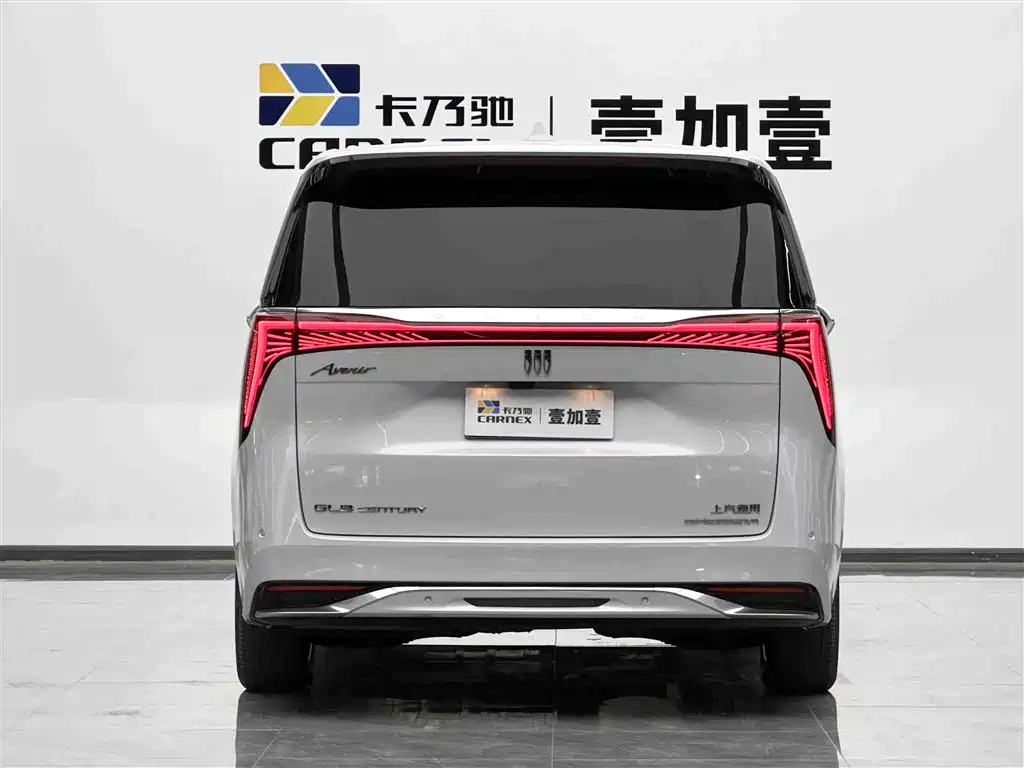 Buick Century 2023 2.0T 4-Seat Private Edition фото 23