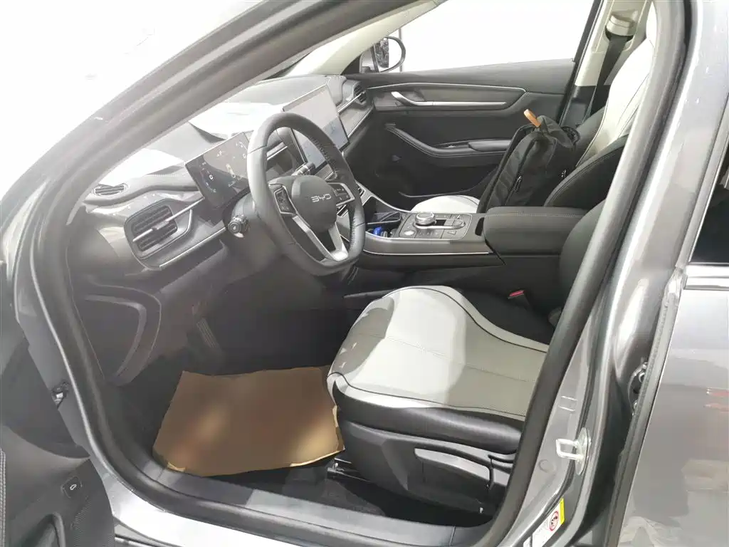 BYD Destroyer 05 2023 Champion Edition DM-i 55KM Luxury фото 15