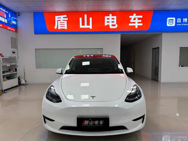 Tesla Model Y 2022 Long Range AWD — фото 2