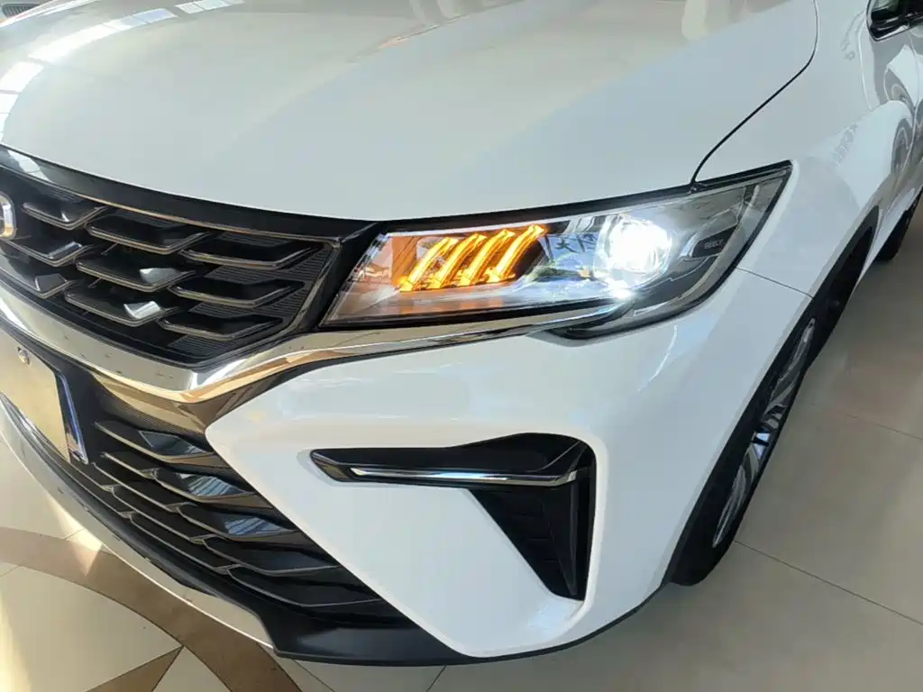 Фото 24 - Geely Jiaji