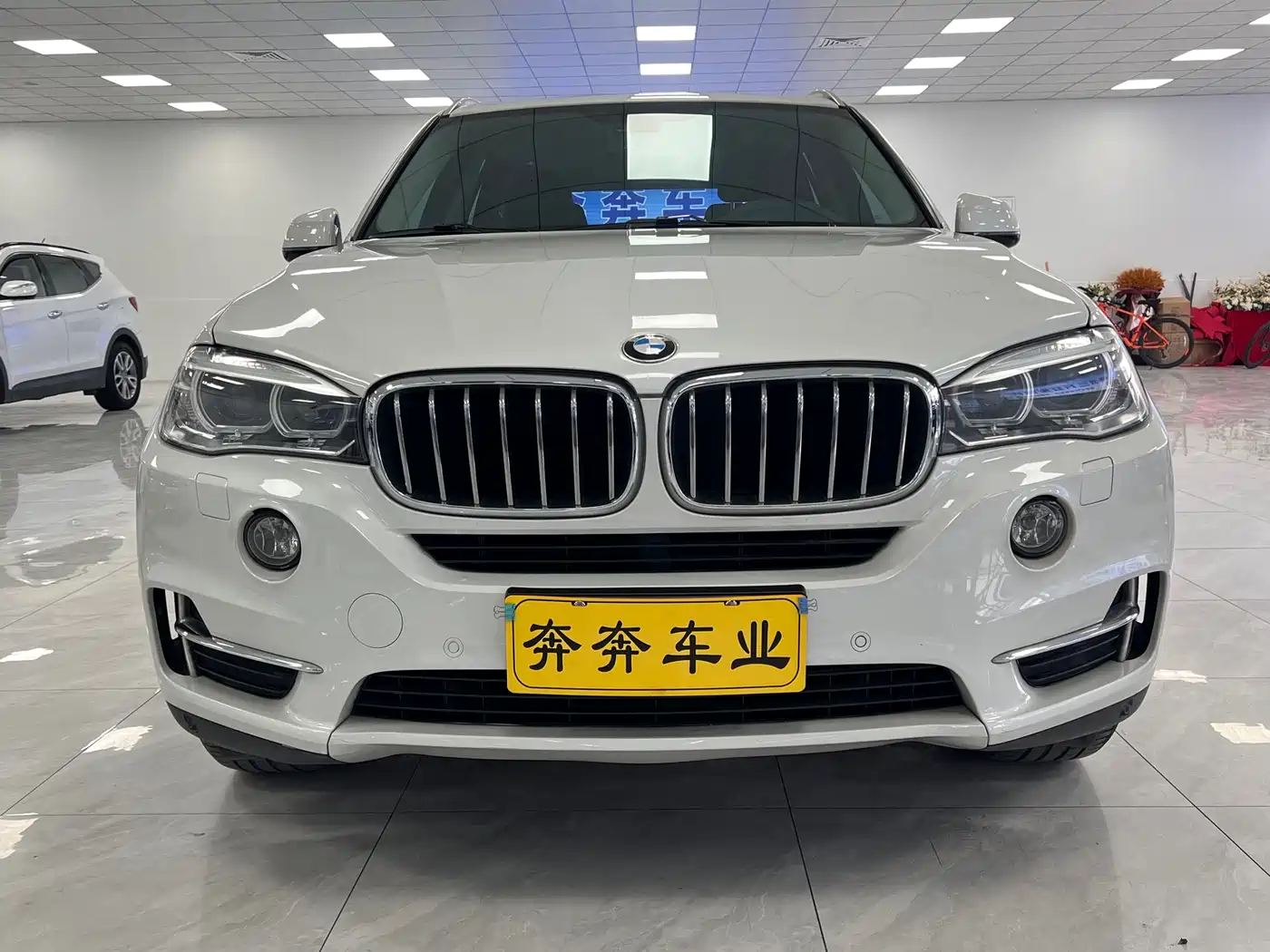BMW X5 (Import) 2017 xDrive35i Elegance фото 3