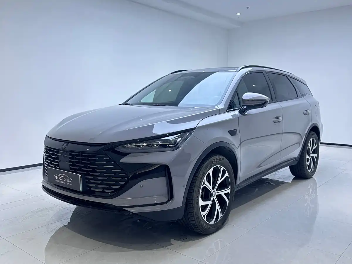 BYD Tang New Energy 2025 Smart Driving Edition DM-i 115KM Flagship