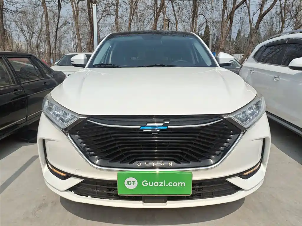 صورة 3 - Changan Oshan X7