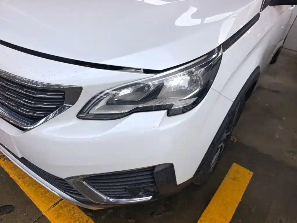 Фото 24 - Peugeot 5008