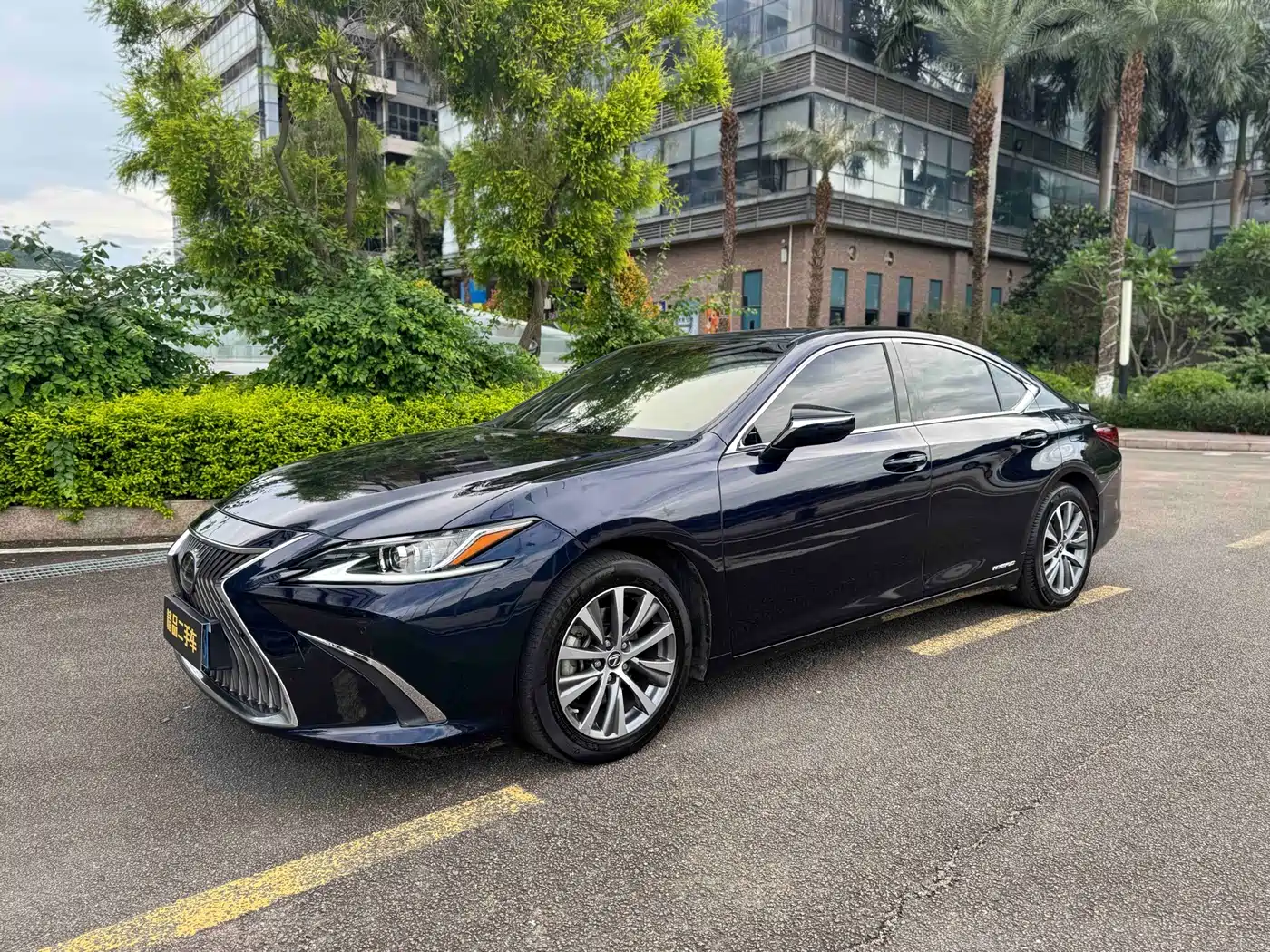 Lexus ES 2018 300h Excellence Edition China V