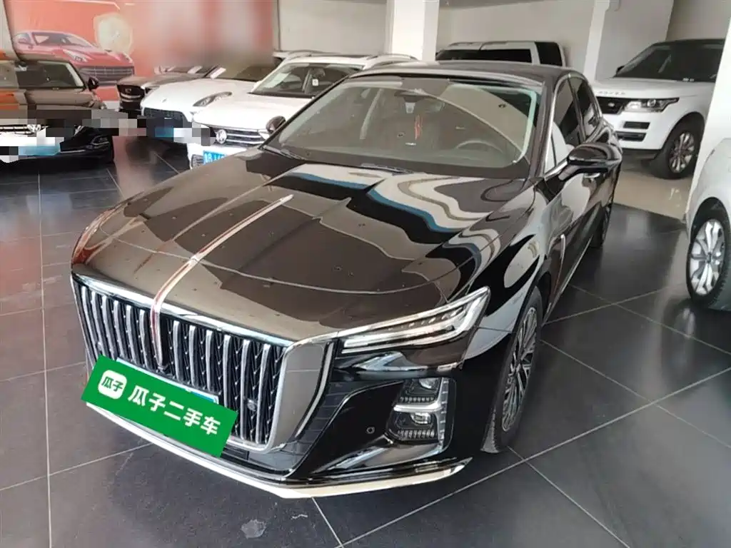 Hongqi H5 2024 2.0T Automatic Smart Connect Flag Smooth Edition фото 2