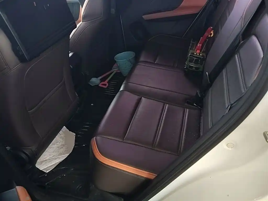 BYD e2 2021 Luxury Edition фото 17