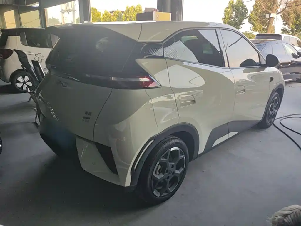 BYD Seagull 2026 2025 Smart Drive Edition 305km Freedom Version