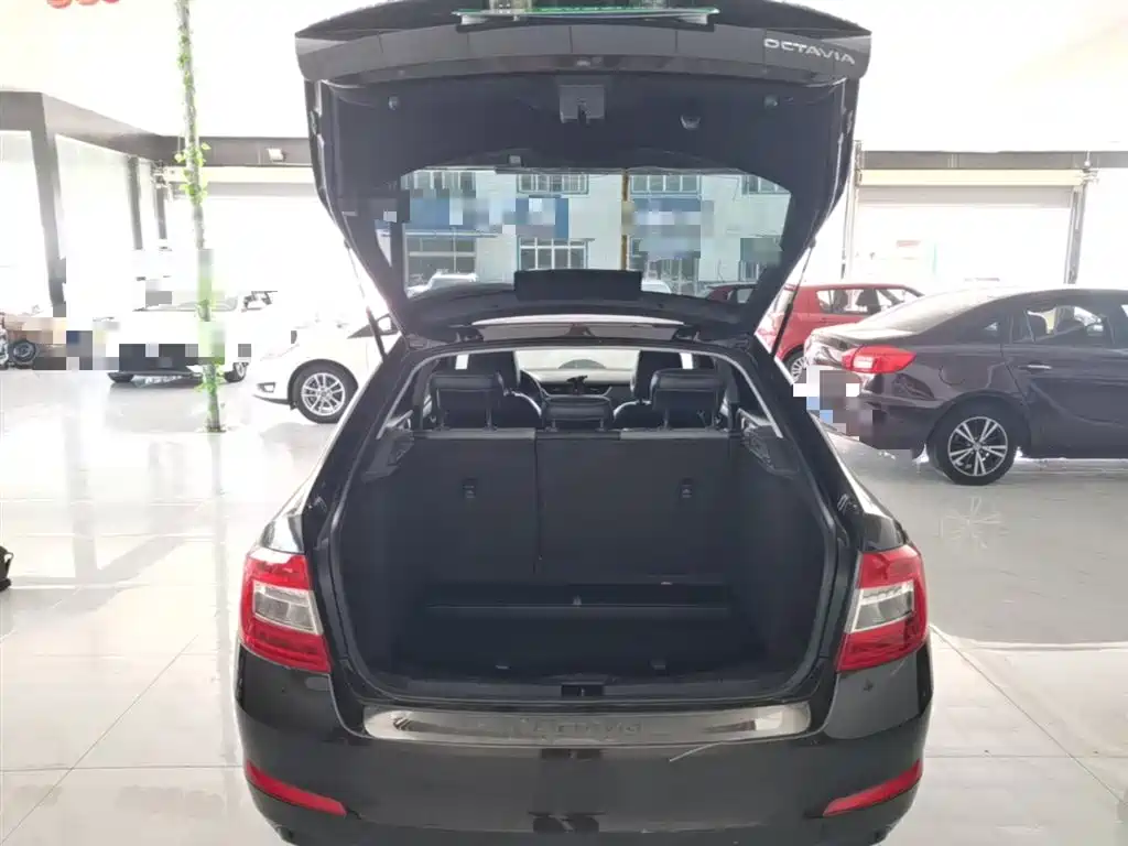 Škoda Octavia 2017 1.6L Automatic Pioneer Edition фото 19