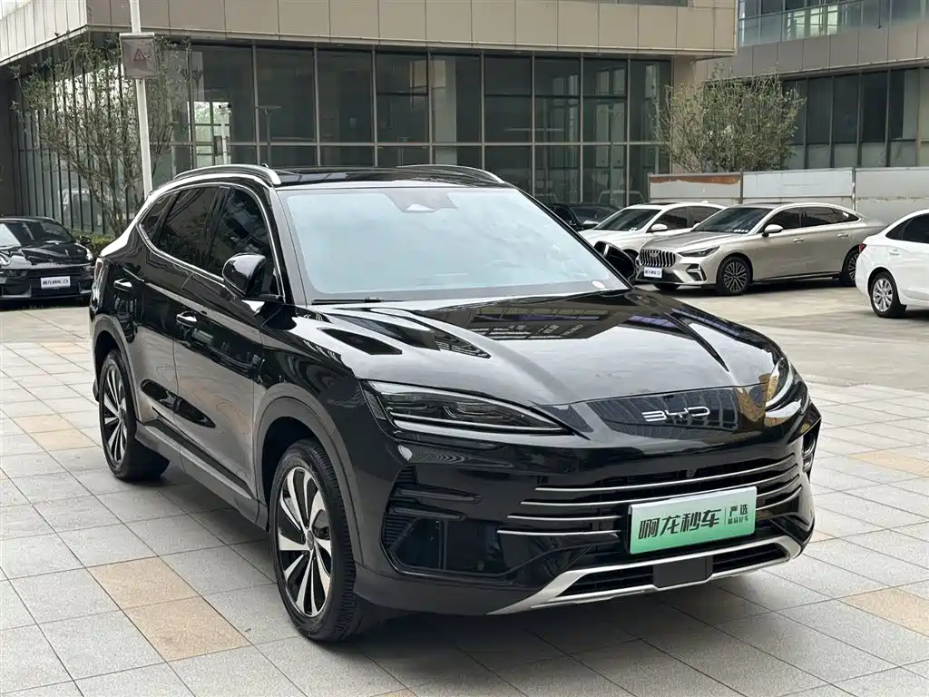 BYD SONGJIANG NEW ENERGY