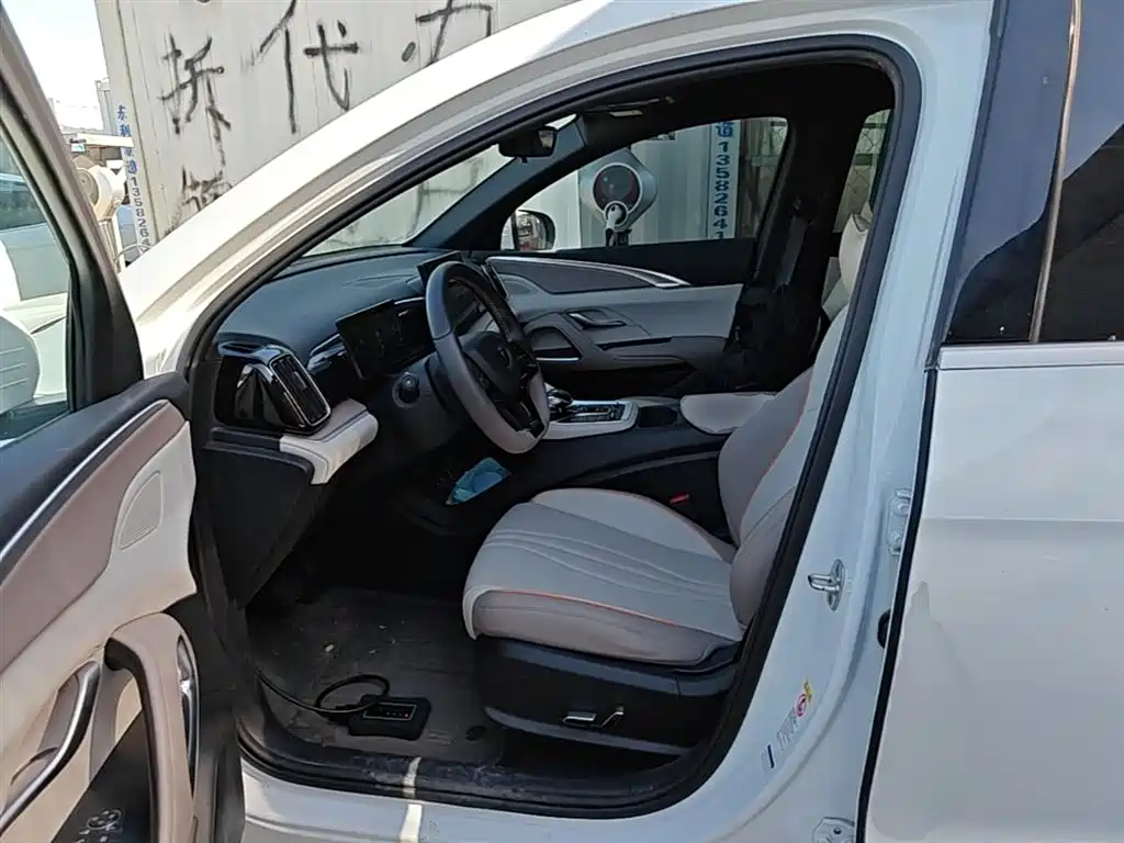 BYD Song Pro New Energy 2024 Glory Edition DM-i 71KM Pilot фото 16