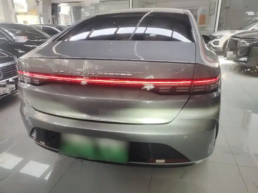 BYD Destroyer 05 2023 Model Champion Edition DM-i 120KM Luxury фото 6