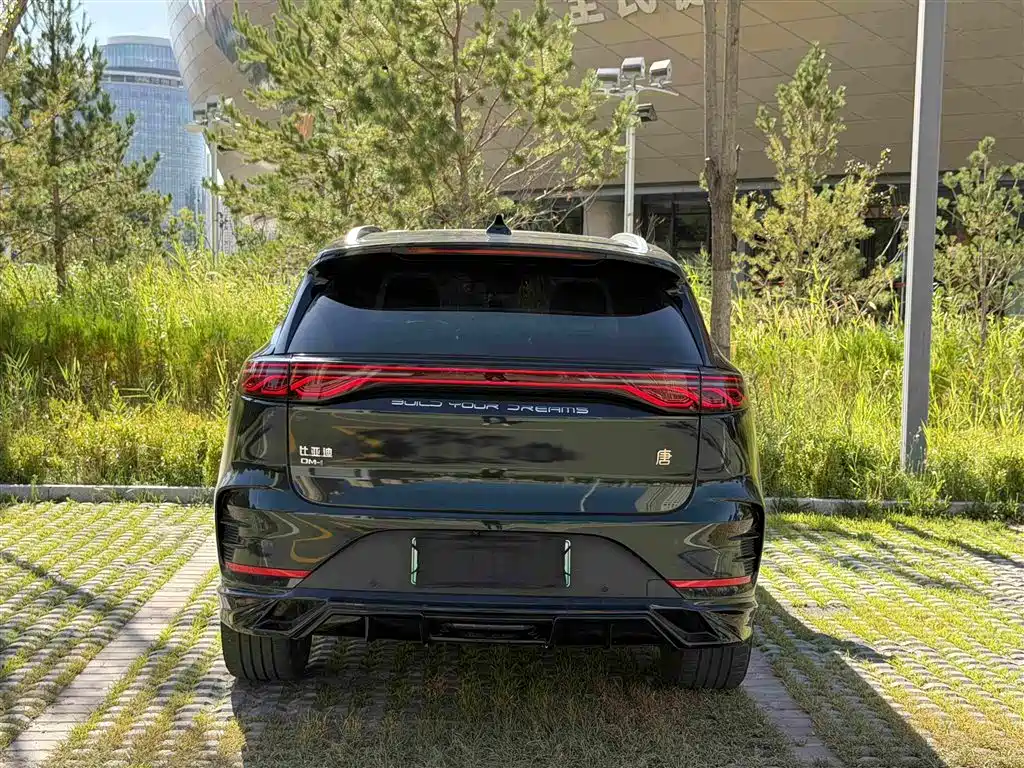 BYD Tang New Energy 2025 2025 DM-i 115KM Prestige Type