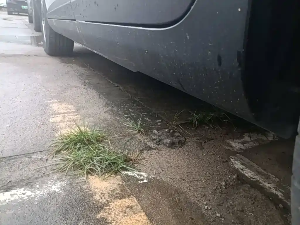 Geely Geometry E Firefly 2024 2024 Model 301km Light Flow