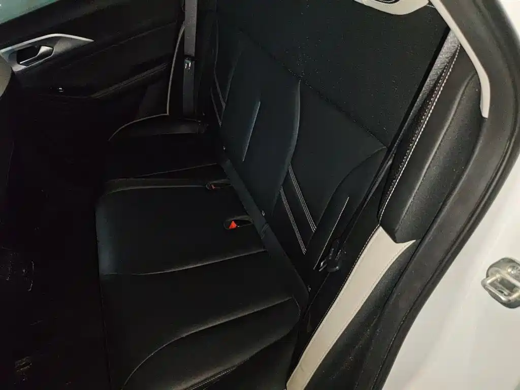 Geely Geometry E Firefly 2022 2022 401KM Thunder Tiger 4-Seater
