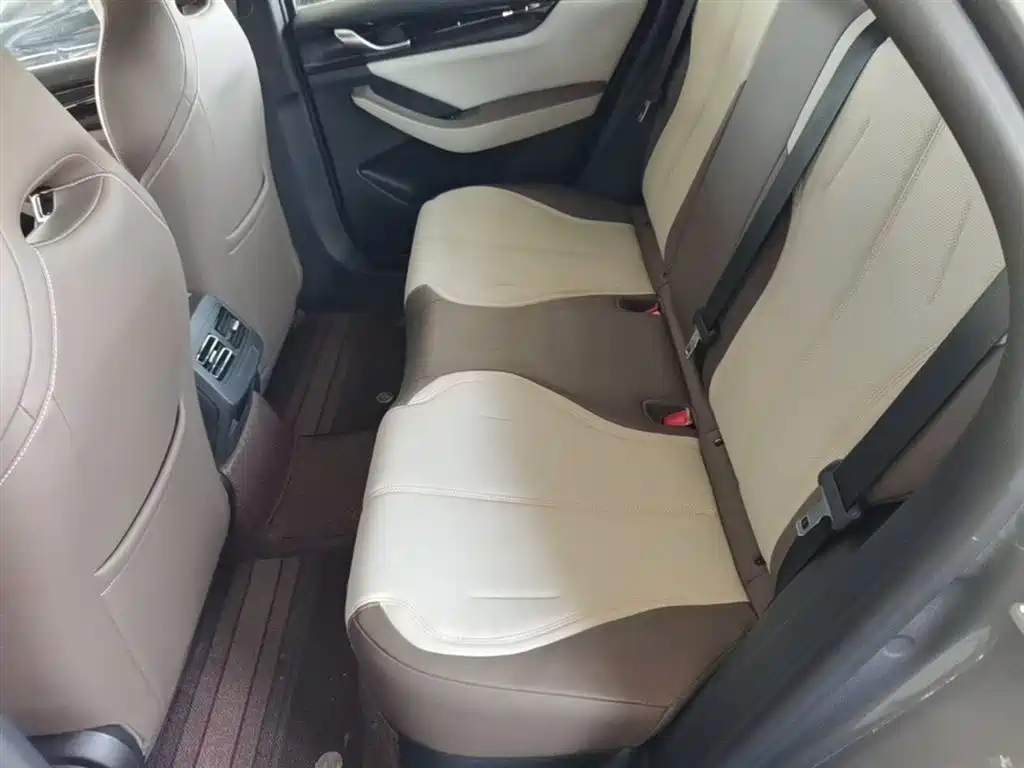 BYD Qin PLUS 2024 Glory Edition DM-i 55KM Leading фото 17