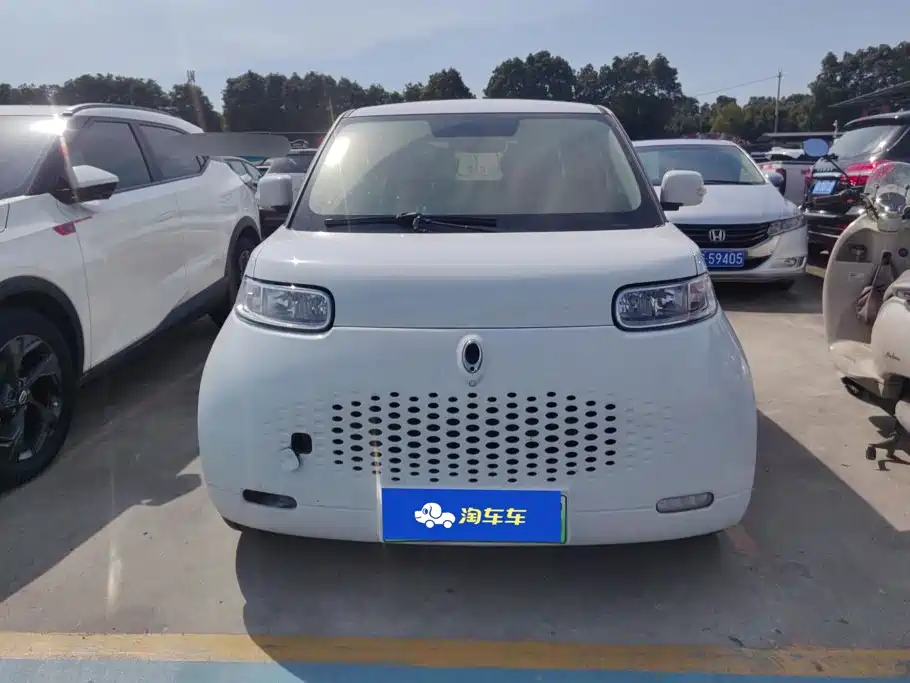 Ora White Cat 2021 2020 305km Luxury