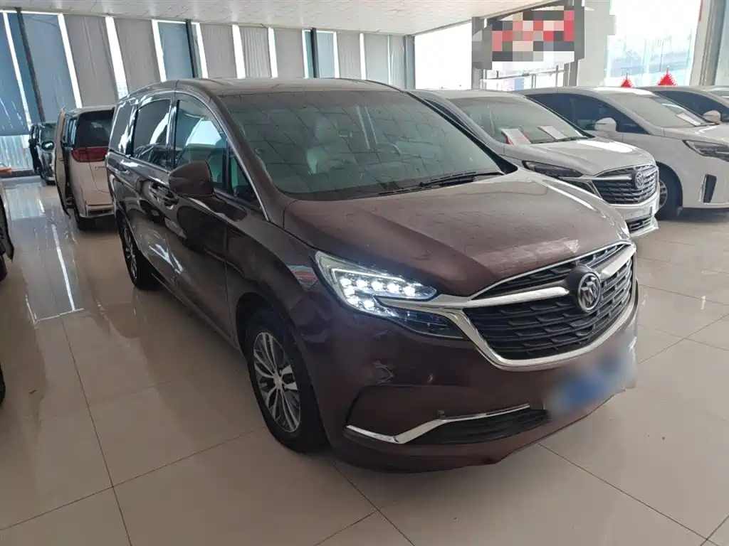 Buick GL8 2022 ES Landmark 653T Comfort фото 4