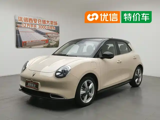  Ora Ora Good Cat 2022 Model Morandi Edition 400km Standard Range Premium LFP