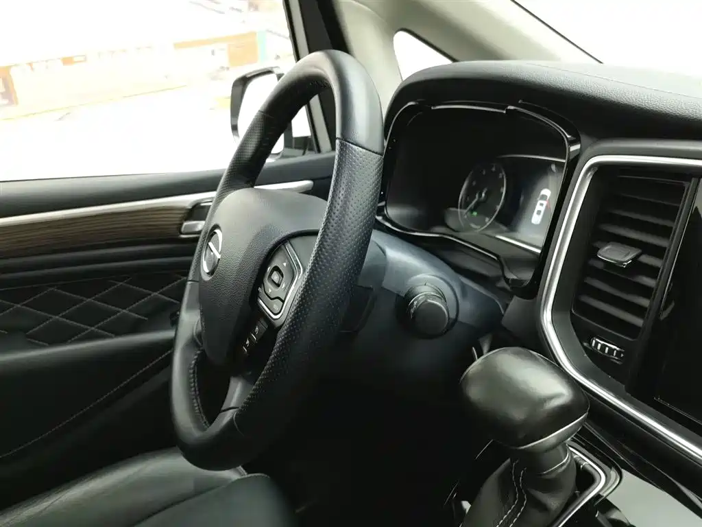 GAC Trumpchi Trumpchi M8 2020 Pilot 390T Ultimate Edition фото 22