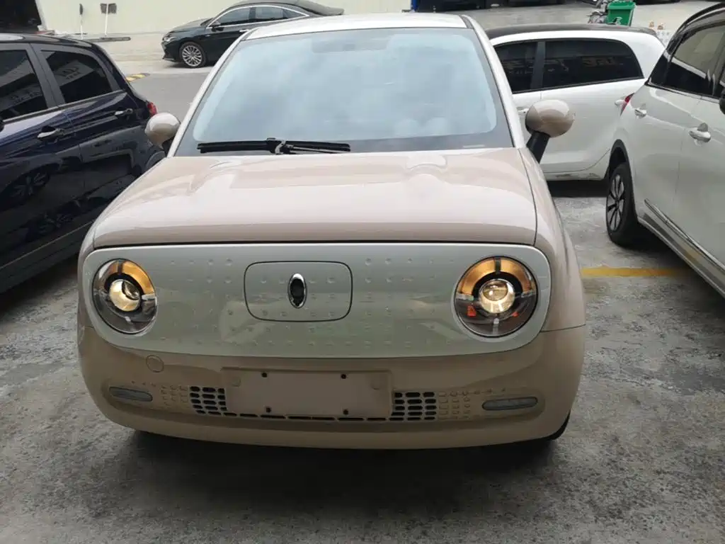 Ora Black Cat 2021 2021 351km Standard Model