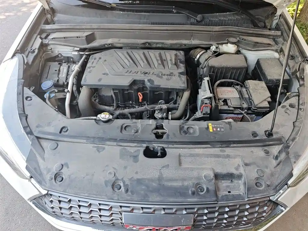 Haval H6 Coupe 2018 Red Label 1.5T Auto 2WD Luxury Edition фото 17