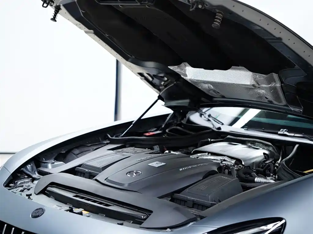 Mercedes-Benz AMG GT 2019 AMG GT фото 51