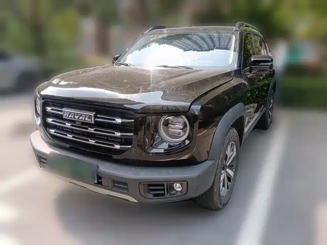 Haval Haval Big Dog 2021 1.5T DCT 2WD Labrador Edition