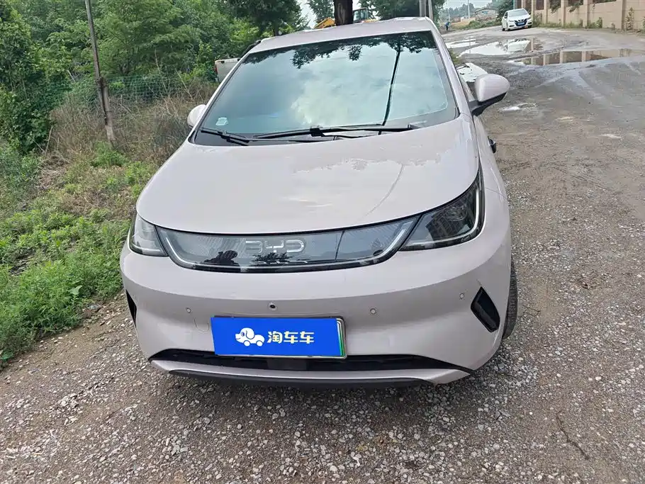 BYD Dolphin 2025 Smart Drive Edition 420km Freedom Version фото 2