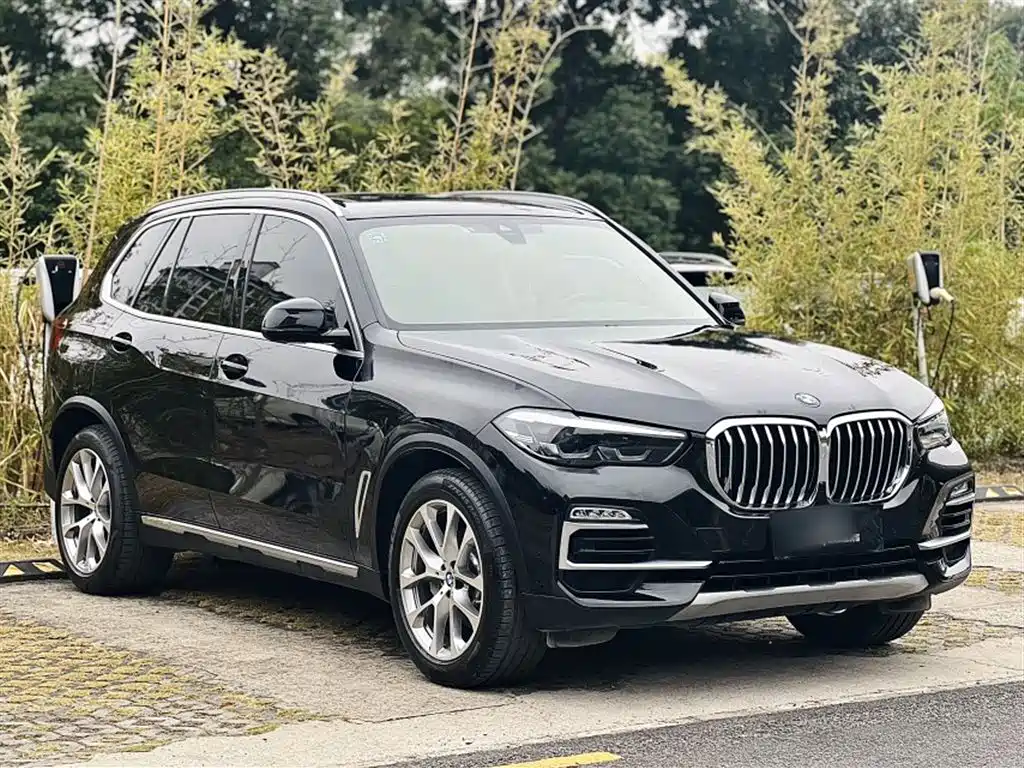 BMW X5 (Import) 2021 Facelift xDrive30i X Design Package фото 22