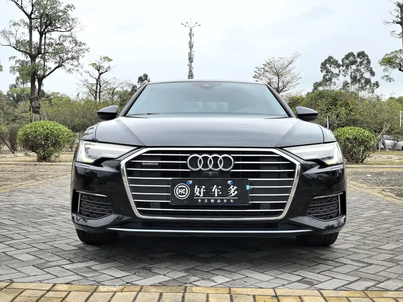 Audi A6L 2019 45 TFSI quattro Premium Elegance фото 2